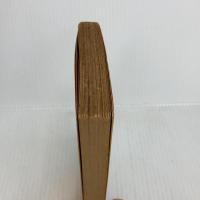 紅花物語 (角川文庫) KADOKAWA 水上 勉