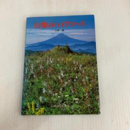 山梨のハイクコース 山梨日日新聞社 上野 巌