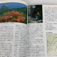 山梨のハイクコース 山梨日日新聞社 上野 巌