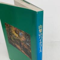 山梨のハイクコース 山梨日日新聞社 上野 巌
