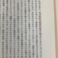 現代日本の文化変容―その政治学的考察 (1971年)