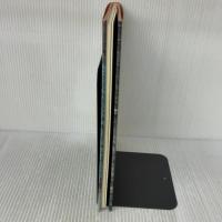 Take Ivy powerHouse Books ShosukeIshizu