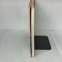 黄昏のベニス 文藝春秋 安野 光雅