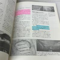 【※書き込み有り】これから始めるコンクリート補修講座 日経BP