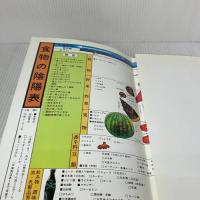改訂新版 無双原理　講義録 宇宙法則研究会 大森英櫻