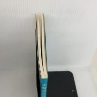 水撃ポンプ製作ガイドブック: 自然の力で水を上げる (自然エネルギーガイド 8) パワー社 鏡 研一