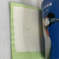 東アフリカの鳥 (海外バードウォッチング 2) 文一総合出版 小倉 寛太郎
