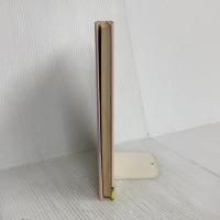 大どろぼうとおばけのカレーライス (新しい幼年創作童話 42) 偕成社 山脇 恭
