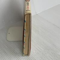 大どろぼうとおばけのカレーライス (新しい幼年創作童話 42) 偕成社 山脇 恭