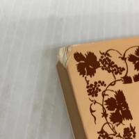 ゴレスターン (岩波文庫 赤 784-1) 岩波書店 サァディー