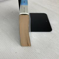 イェマドの後継者: ザンヤルマの剣士 (富士見ファンタジア文庫 31-11) KADOKAWA(富士見書房) 麻生 俊平