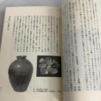 骨董屋という仕事: 三五人の目利きたち 平凡社 青柳 恵介