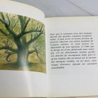 木を植えた男を読む 徳間書店 高畑 勲
