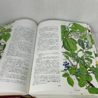園芸植物図譜 平凡社 浅山 英一