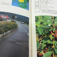 庭公園樹と地被植物 ワールドグリーン出版 伊佐義朗
