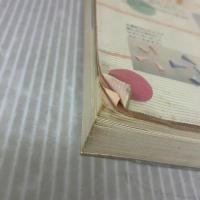 【※イタミ有り】あみもの百科: 棒針あみ・かぎ針あみ・アフガンあみ・模様あみ 主婦の友社 古谷 寛子