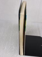 【※イタミ有り】解析力学 (物理テキストシリーズ 2) 岩波書店 大貫 義郎