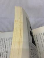 【※イタミ有り】椎名林檎歌姫物語 コアハウス 吹上 流一郎