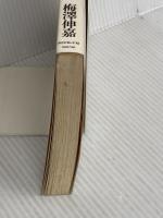 企業分化革命: ニーズ最適化の戦略発想 (戦略&マーケティングシリーズ) ダイヤモンド社 梅澤 伸嘉