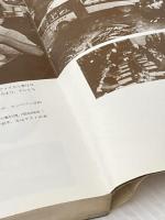 アメリカ小麦戦略―日本侵攻 家の光協会 高嶋光雪