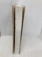 実践的デ-タモデリング入門 (DB Magazine SELECTION) 翔泳社 真野 正