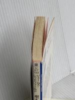 聖なるヴィジョン (角川文庫 レ 5-7) KADOKAWA ジェームズ レッドフィールド