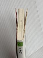 道徳は復讐である―ニーチェのルサンチマンの哲学 (河出文庫 な 25-1) 河出書房新社 永井 均