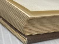 ※イタミ有 ブルーグラス音楽―草の根のアメリカ白人音楽 (1975年)