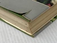 ※イタミ有 家庭で楽しむ野菜づくり (1972年) (文研リビングガイド) 文研出版 荒西 能久