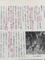 ※イタミ有 家庭で楽しむ野菜づくり (1972年) (文研リビングガイド) 文研出版 荒西 能久