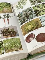 ※イタミ有 家庭で楽しむ野菜づくり (1972年) (文研リビングガイド) 文研出版 荒西 能久