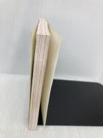 【※カバー無し】中国人の裏ルール (中経の文庫) KADOKAWA/中経出版 谷崎 光