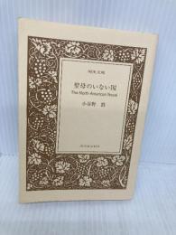 【※カバー無し】聖母のいない国 (河出文庫 こ 11-2) 河出書房新社 小谷野 敦
