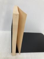 【※カバー無し】聖母のいない国 (河出文庫 こ 11-2) 河出書房新社 小谷野 敦