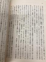 【※カバー無し】聖母のいない国 (河出文庫 こ 11-2) 河出書房新社 小谷野 敦