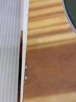 【※イタミ有り】ヤミーさんのカルディレシピ 新版 ~世界中の食材を使った簡単でおいしい料理~ 毎日コミュニケーションズ ヤミー