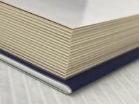 電気じかけの予言者たち 続 ソニ-・ミュ-ジックソリュ-ションズ 木根 尚登