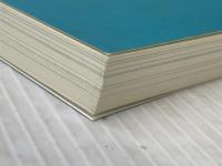 自由を奪われた精神障害者のための弁護士実務：刑事・医療観察法から精神保健福祉法まで 現代人文社 姜 文江