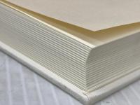 ※イタミ有 精神療法の人間学―生活習慣を処方する 岩崎学術出版社 井原 裕