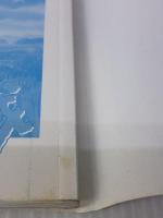 ジス・イズ・アニメーション ハウルの動く城 小学館 スタジオジブリ