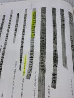 【※イタミ・書き込み有り】木簡・竹簡・帛書［漢・晋/隷書］ (中国法書選 10) 二玄社 田中東竹