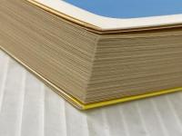 アグネス白書―青春コメディ (集英社文庫―コバルトシリーズ 52F) 集英社 氷室 冴子