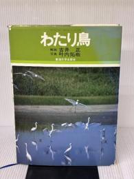 わたり鳥 東海大学 吉井 正