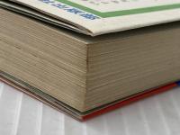 米つぶ療法 昭文社出版部 中谷義雄