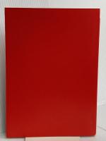 【※カバー無】経営者のためのIPOを考えたら読む本 すばる舎 手塚 貞治