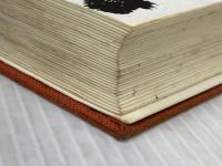 ※イタミ有 金鶴泳作品集成 作品社 金 鶴泳