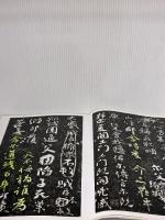 【※書き込み有り】祭姪文稿・祭伯文稿・争坐位文稿[唐・顔真卿/行草] (中国法書選 41) 二玄社 顔真卿