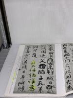 【※書き込み有り】祭姪文稿・祭伯文稿・争坐位文稿[唐・顔真卿/行草] (中国法書選 41) 二玄社 顔真卿
