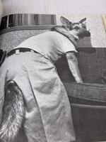 Life Smiles Back Simon & Schuster Kunhardt, Philip B.