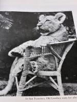 Life Smiles Back Simon & Schuster Kunhardt, Philip B.